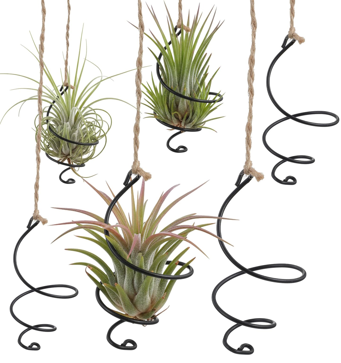ValueBargain 6Pcs Hanging Air Plant Holder, Air Plant Hanger with Jute Ropes, Soilless Tillandsia Display Stand for Home & Office Decor, Succulent Container