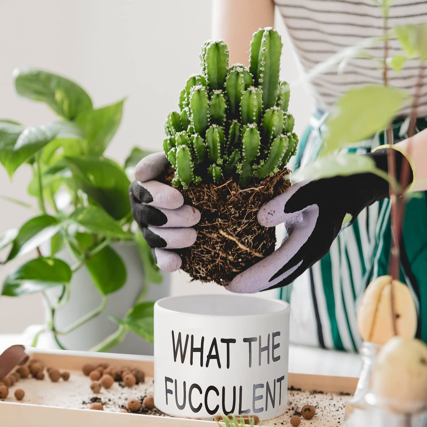 Suclain 6 Set Succulent Flower Cactus Planter Gifts Plant Cactus Flower Ceramic Funny Planter Pots Succulent Planters with Drainage Hole and Bamboo Saucers for Women Men Party Favor