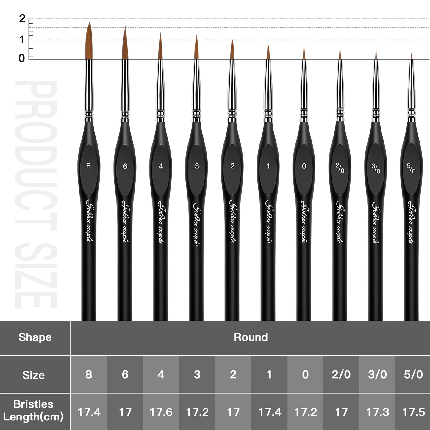 Golden Maple Detail Paint Brushes Set 10pcs Miniature Brushes for Fine Detailing & Art Painting - Acrylic, Watercolor, Oil, Models