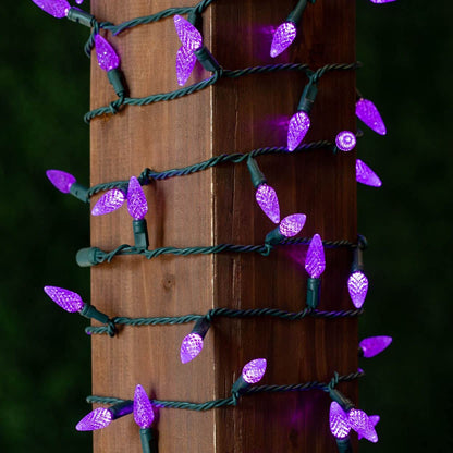 Novelty Lights 24FT 70 LED C6 Christmas String Lights, Outdoor Tree Commercial Grade Permanent Decorations (Purple)
