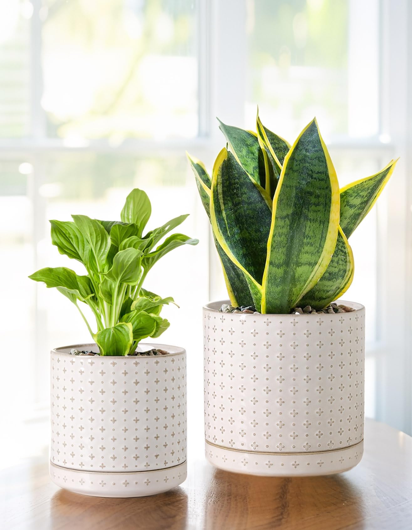 Plant Pots, 5+6 inch Planters Set of 2, Ceramic Pot for Indoor Plants with Drainage Hole and Saucer, Small Flower Pot for Succulent, White