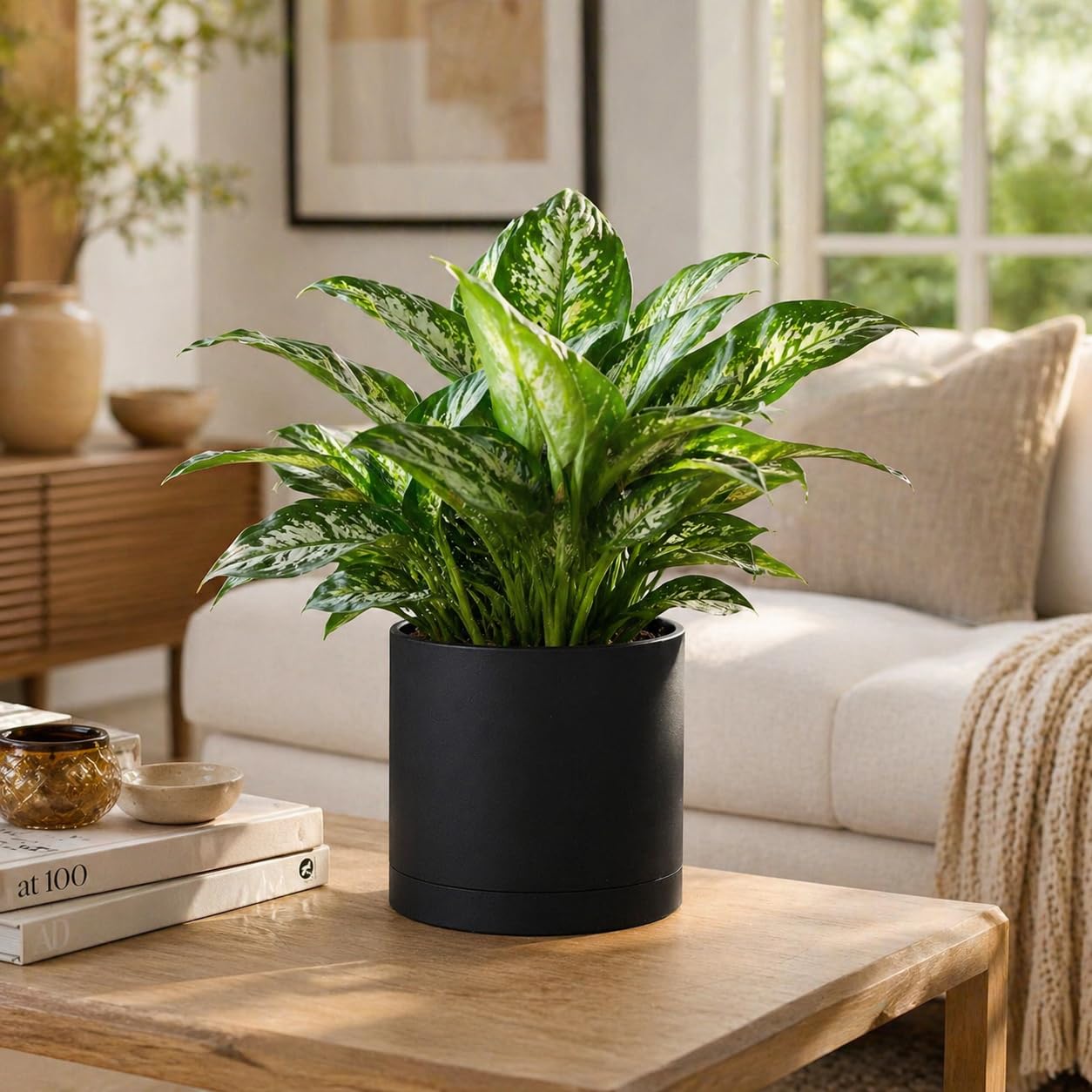 Giraffe Creation 12-Inch Round Cylinder Plant Pot, Modern Indoor/Outdoor Planter with Drainage Hole, Saucer & Water Reservoir, Black