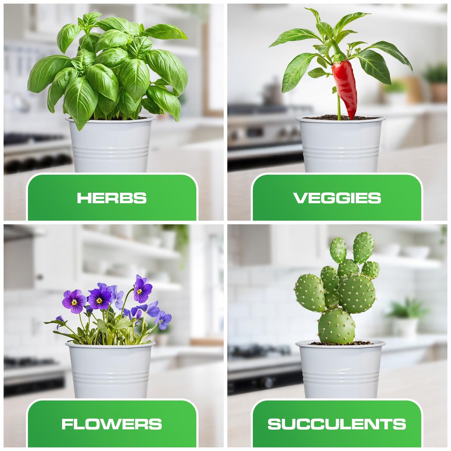 Plexon Herb Planter Indoor Garden Set of 3 with Tray, Metal Herb Pots for Indoor Plants, Round Kitchen Garden Kit Ideal for Windowsill Planter or Countertop, White Powder Coated