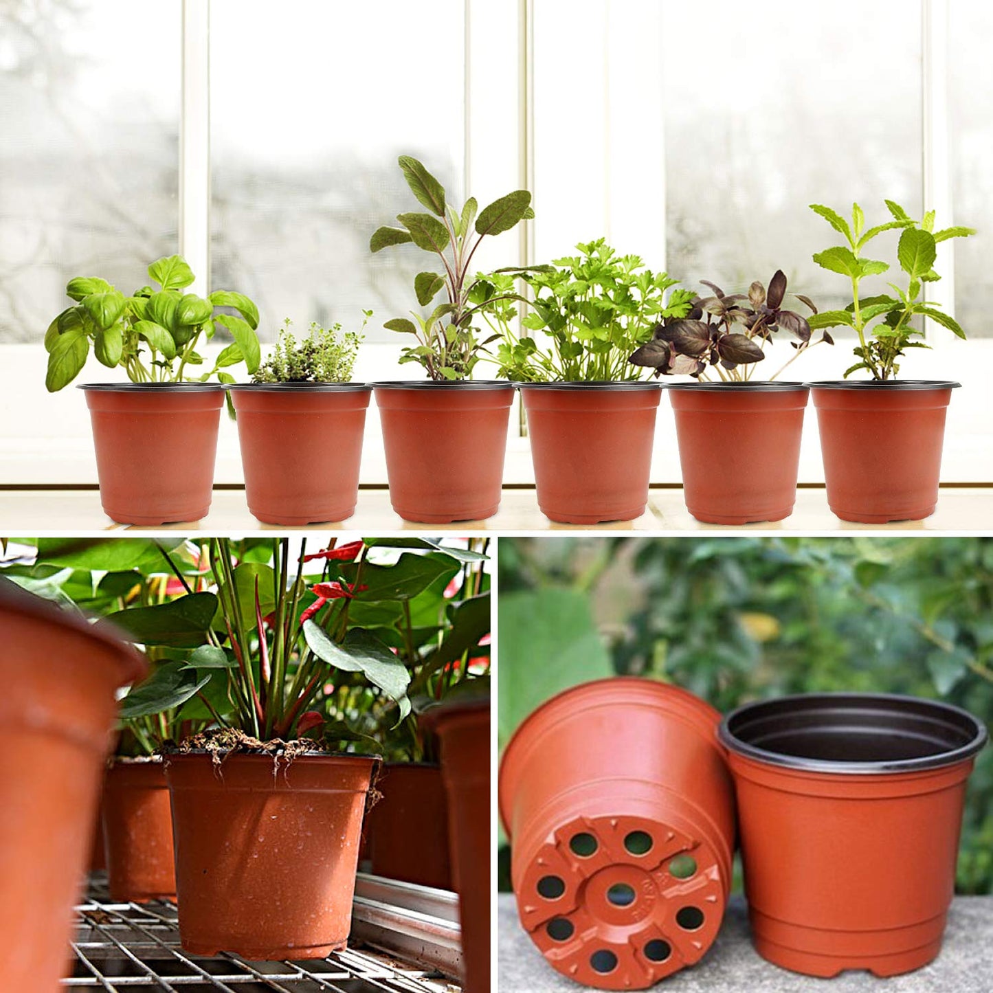 Augshy 130 Packs 6 Inches Plastic Plant Nursery Pots, Seed Starting Pot Flower Container for Succulents, Seedlings, Cuttings, Transplanting, Planter Home Docer