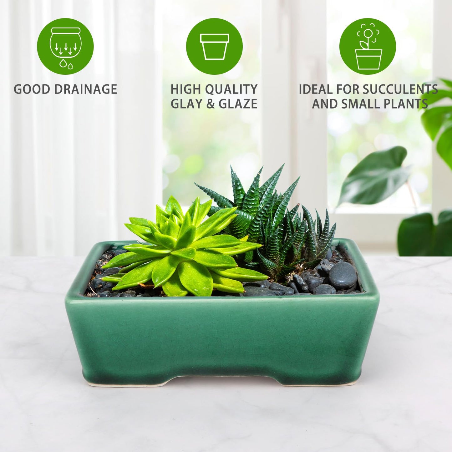 Set of 2 Zisha White Clay Bonsai Pot Glazed Shallow Succulent Planter Green