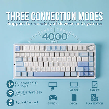 EPOMAKER x Aula F75 Gasket Mechanical Keyboard, 75% Wireless Hot Swappable Gaming Keyboard with Five-Layer Padding&Knob, Bluetooth/2.4GHz/USB-C, RGB (Light Blue, LEOBOG Reaper Switch)