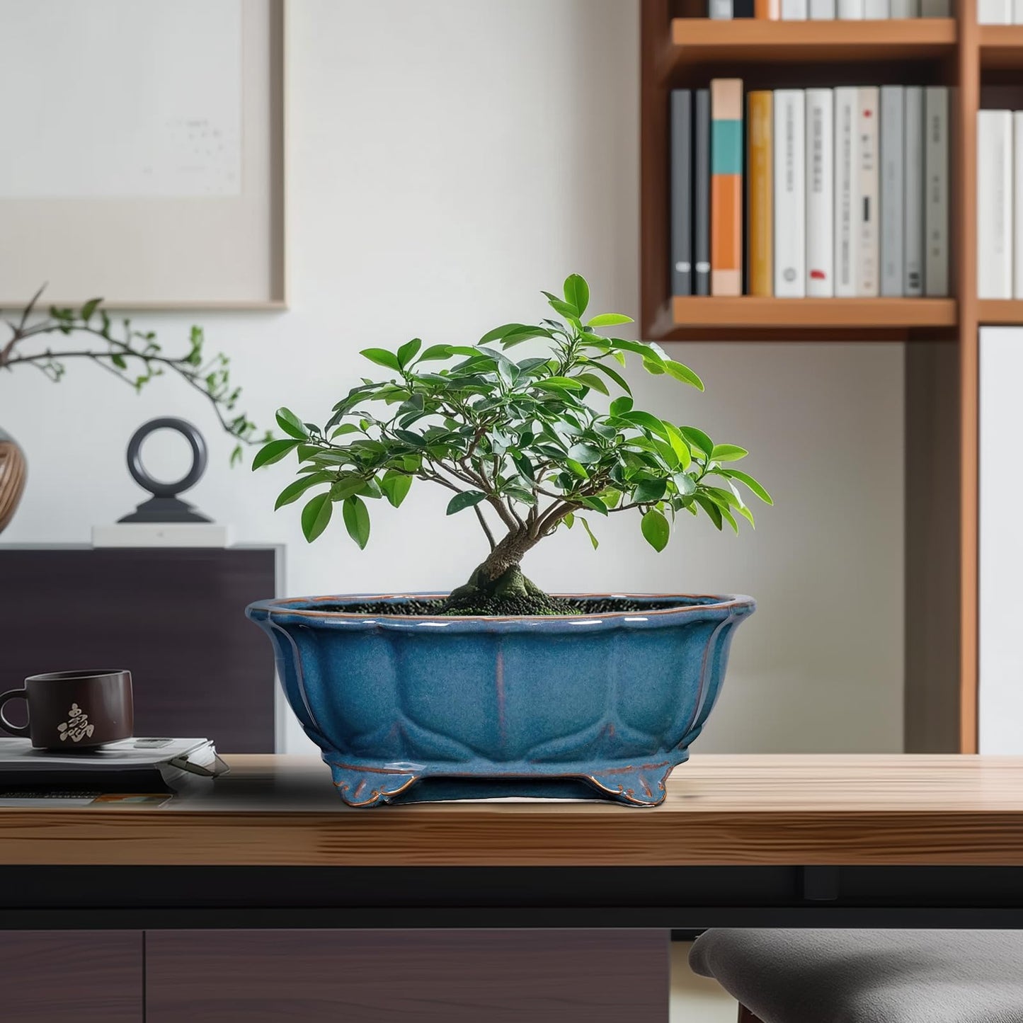 Teagas Bonsai Tree Pot - 11 Inch Ceramic Succulent Pots, Bonsai Planter for Indoor Outdoor, Decorative Plant Pot with Drainage Hole, Oval Flower Pot, Home Garden Decor, Garden Gifts, Retro Blue