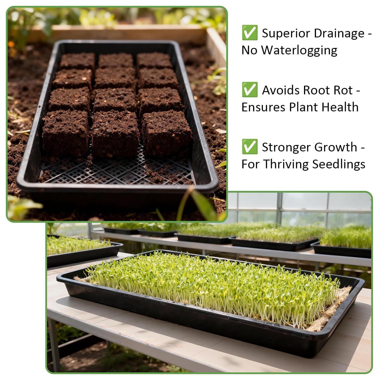 RooTrimmer 10 Pack 1020 Mesh Trays, Extra Strength 1020 Mesh Bottom Trays with Holes, 20'' x 10'', Heavy Duty Propagation Flats for Microgreens, Seed Starting, Soil Blocks, Hydroponics & Wheatgrass