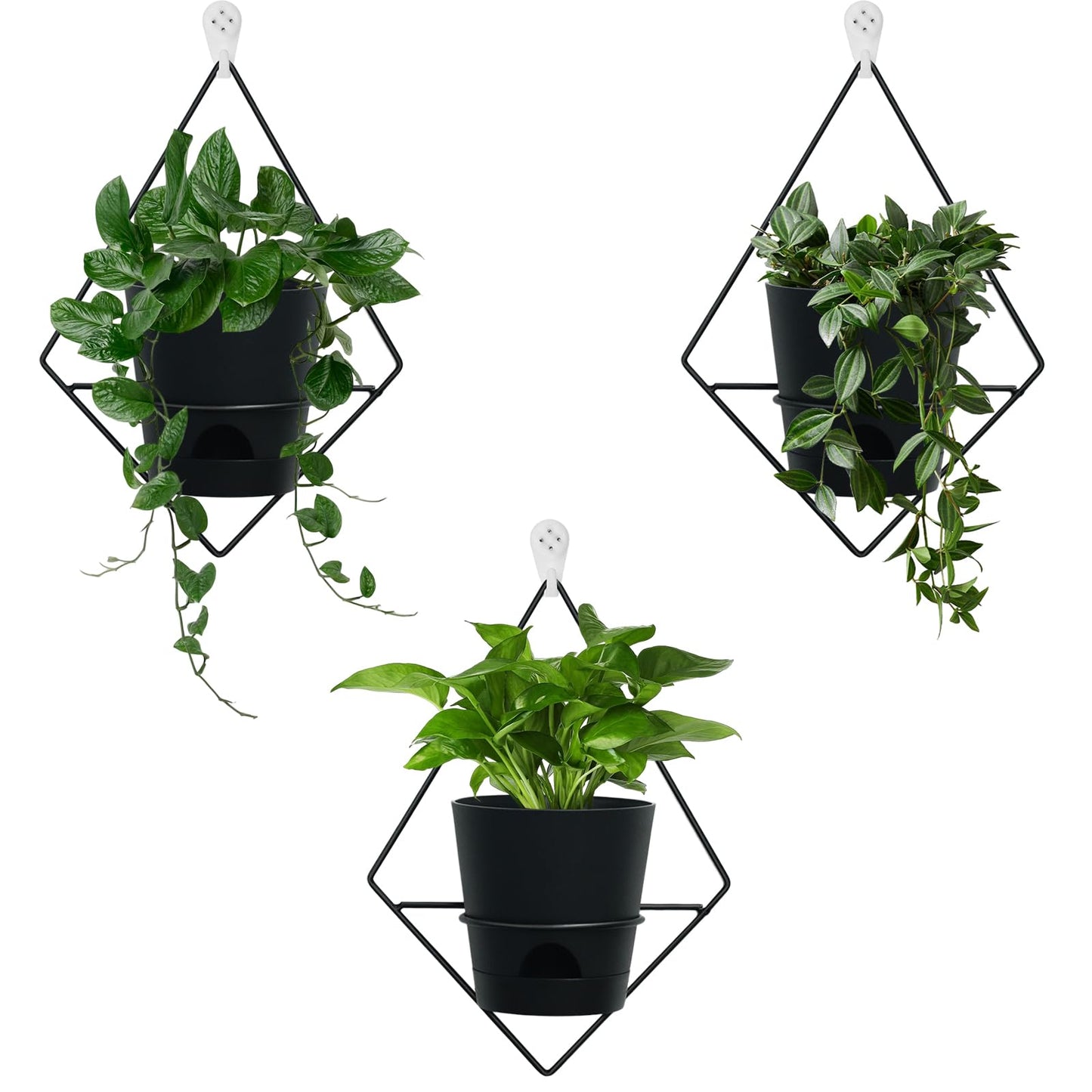 Koalaime 3 Sets Wall Planters for Indoor Plants Geometric Hanging Planters for Indoor Plants - Self-Watering Flower Pots with Black Metal Holder, Mounted Succulent Planter, 5" Black Plant Pot