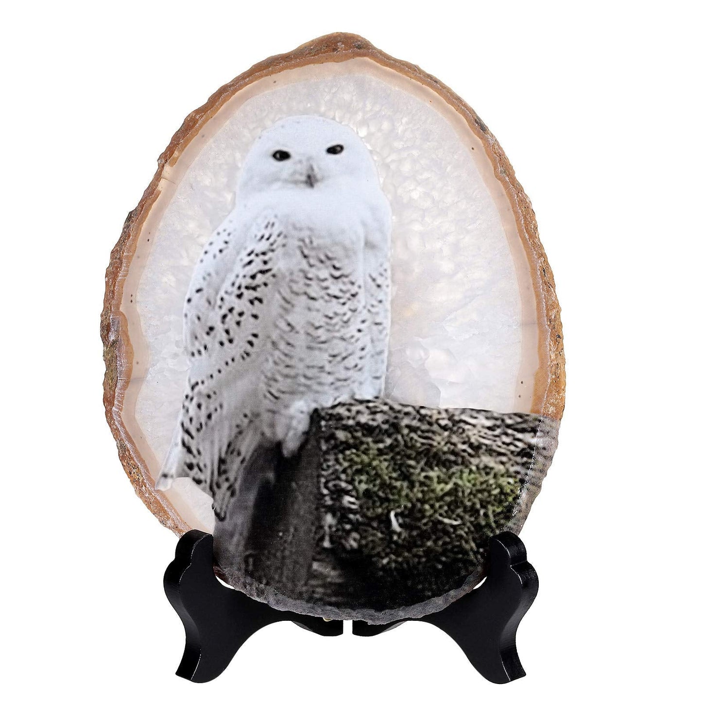 Rockcloud Snowy Owl Agate Slab Display with Wooden Stand Irregular Shape Agate Slice Stone Home Office Desk Ornament, 3.9"-4.7"