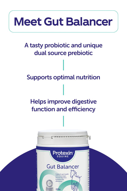 Protexin Equine Horse & Pony Gut Balancer, 700g, Advanced Digestive Support