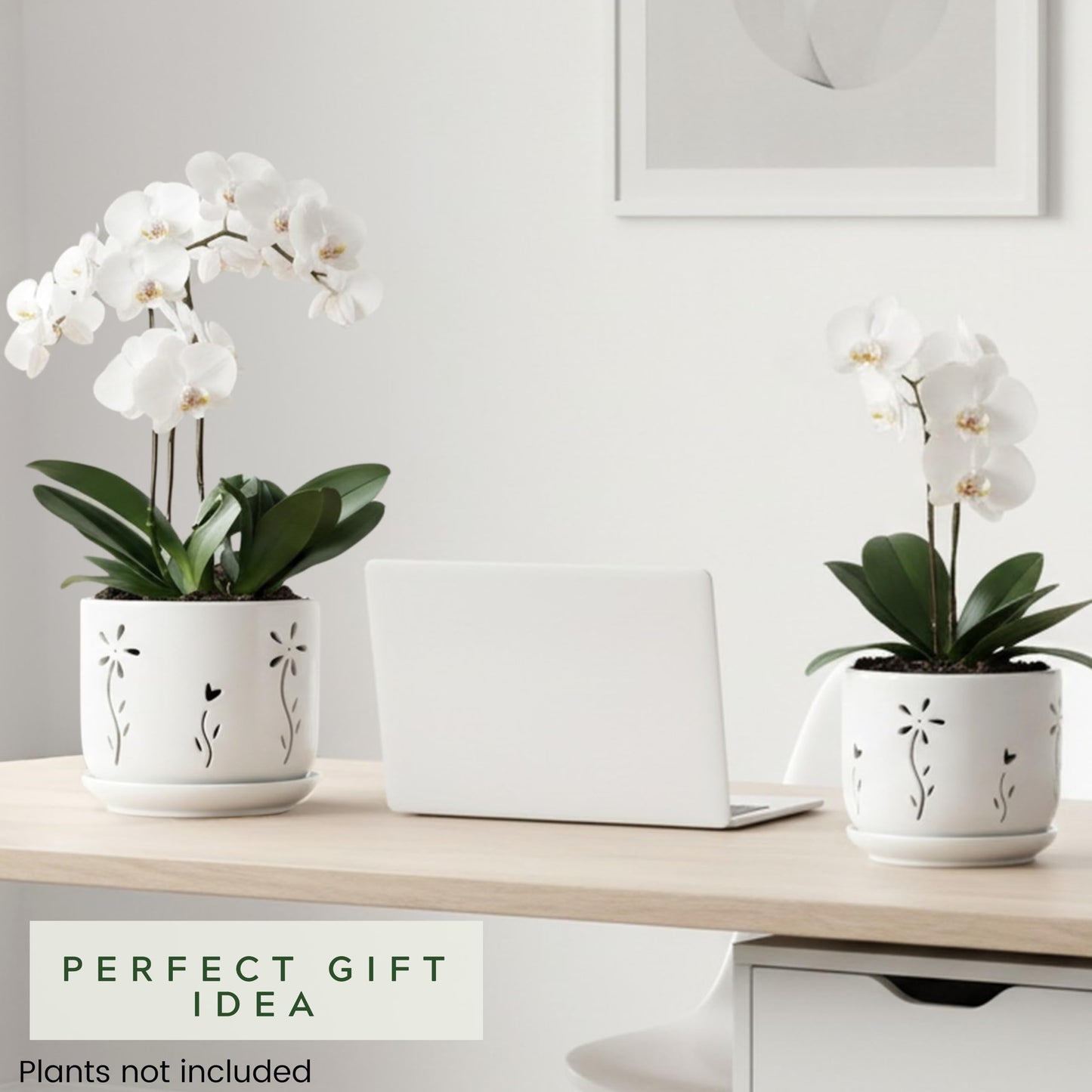Thriving Thicket 2 Pack, 5 + 6 Inch White Orchid Pots with Holes and Saucer, Ceramic Orchid Planters for Repotting with Drainage Holes and Tray, Plant Flower Pot containers for Orchid Indoor Outdoor