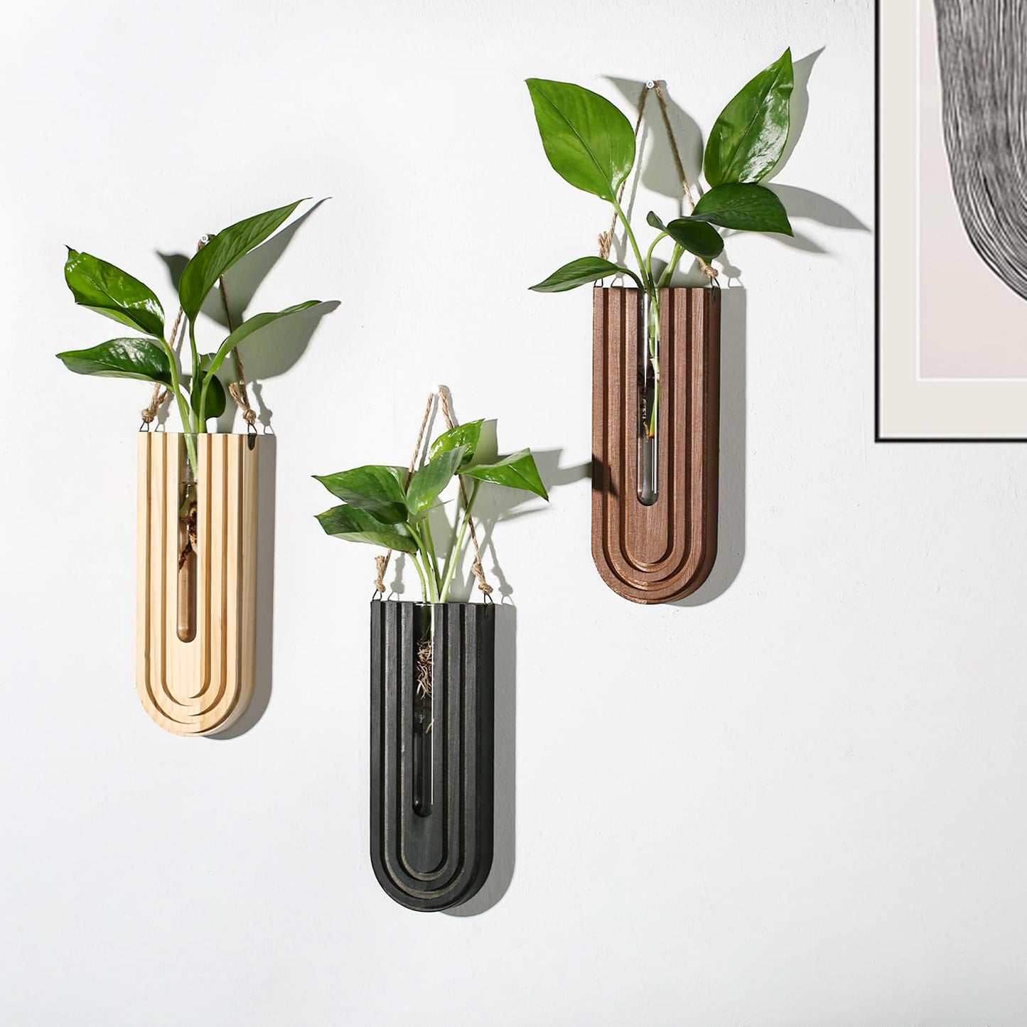 Dnnnii Indoor Wood Wall Planter Set of 3 for Plants - Boho Handmade Hanging Propagation Station with Curved Rainbow Design, Wall Mounted Vase for Flowers, Natural Home Decor Living Room Entryway