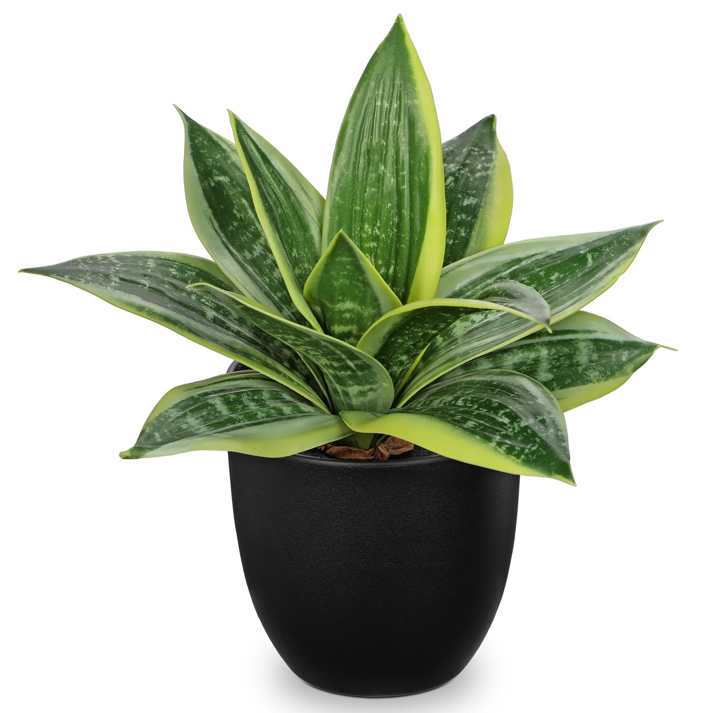 Hollyone Artificial Snake Plants 9" Faux Agave Succulent Plant Potted in Black Pot Fake Sansevieria Aloe Tropical Plant for Desk Modern Office Home Bathroom Indoor Outdoor Decor