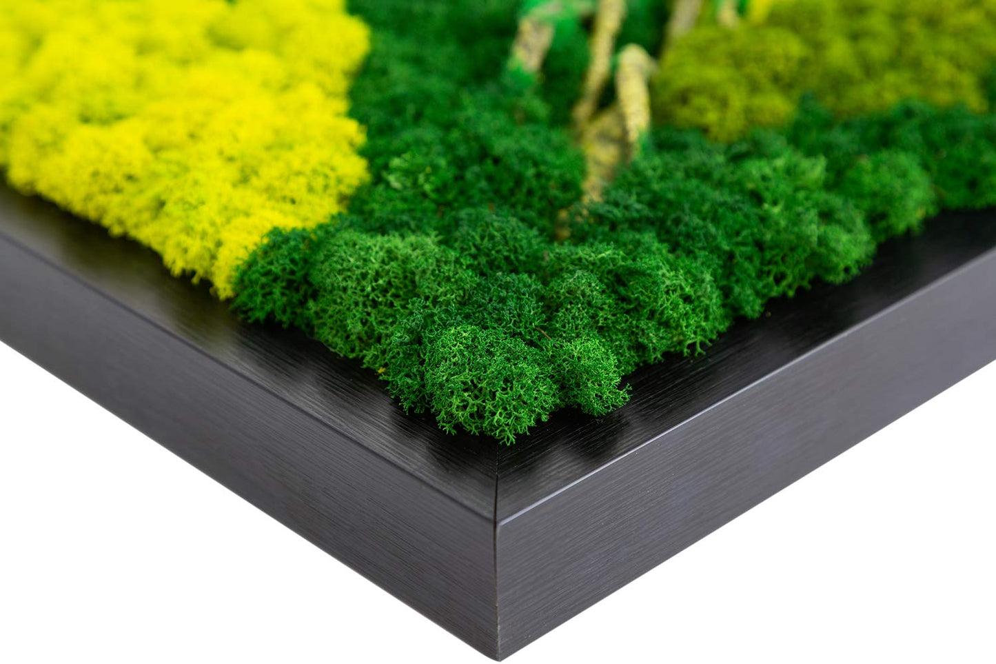 LVZHIHUAN Moss Wall decor Real Preserved Moss No Maintenance Required Eco Natural Green Wall Art Moss Frame Living Plants Vertical Garden 19.7 x13.8inch,Black Frame