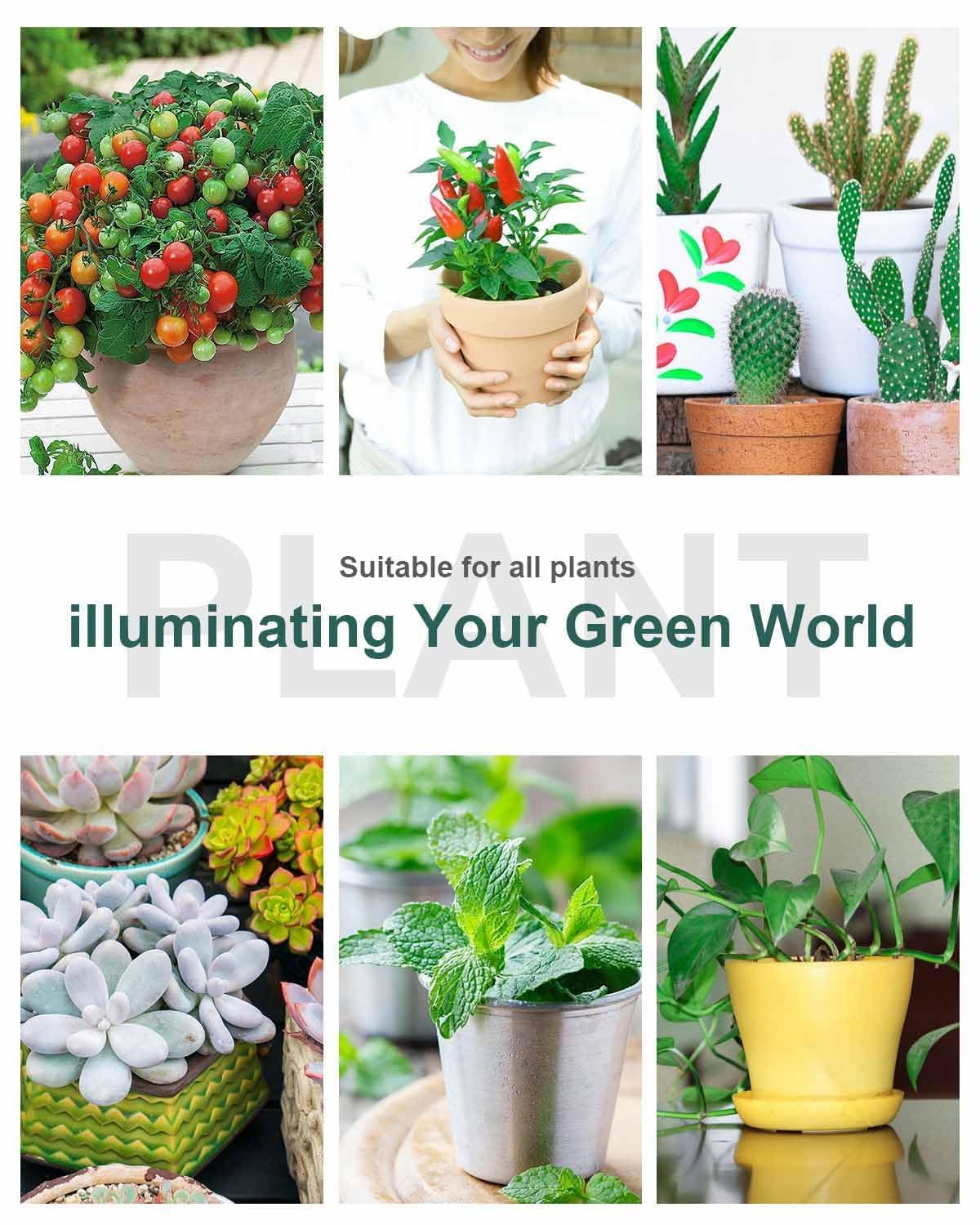 DOMMIA Grow Lights for Indoor Plants,Full Spectrum Grow Light with Warmwhite Red LED,Dual Head Clip Plant Light for Indoor Plants,Manual ON/Off Switch,Adjustable Gooseneck Plant Light for Houseplants