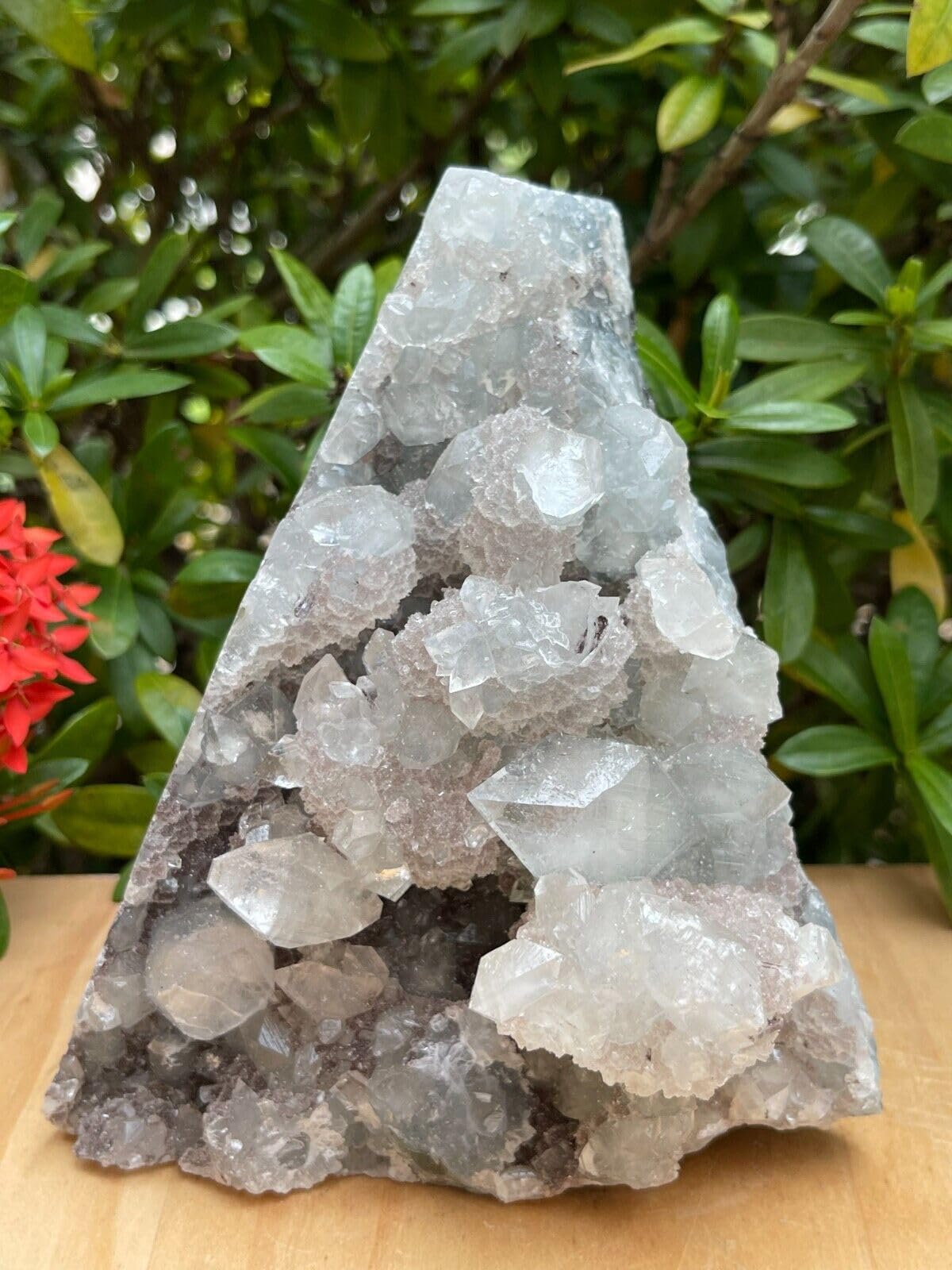 GAF TREASURES Apophyllite Cluster Geode Free Standing | Natural Apophyllite Crystal Display Piece | 0.5–9 lbs | Healing, Decor & Collectible Mineral
