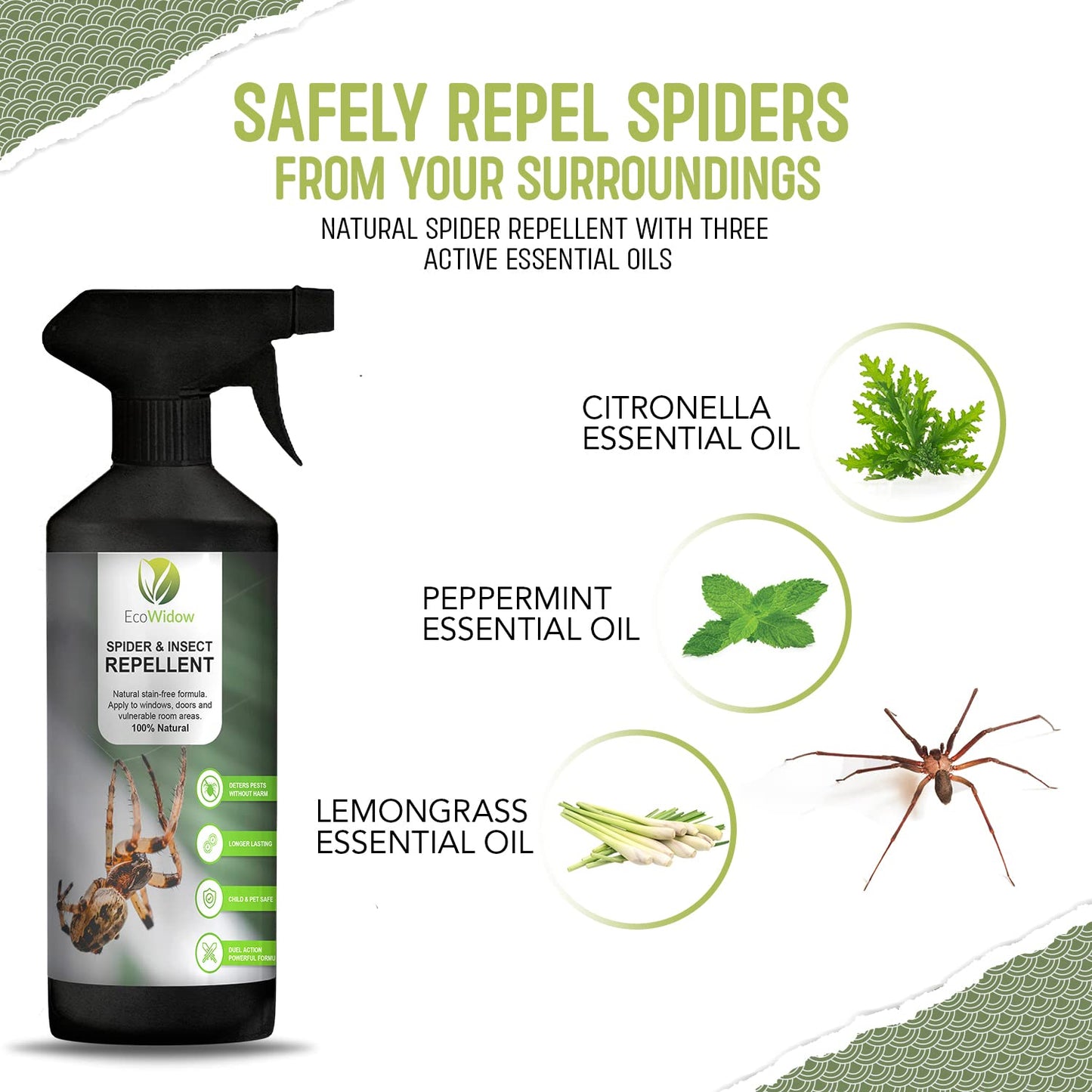 EcoWidow Spider Repellent Spray - Natural Peppermint Oil Insect & Cobweb Remover for Home, Humane Formula, 500ml