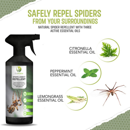 EcoWidow Spider Repellent Spray - Natural Peppermint Oil Insect & Cobweb Remover for Home, Humane Formula, 500ml