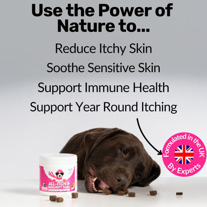 NutriPaw All-Itch Immunity Treats For Dogs - Soothe Itchy Paws, Eyes, Ears, Skin - Stop Itching, Licking, Scratching - Perfect for Small, Medium & Large Dogs - Supports Seasonal Itching