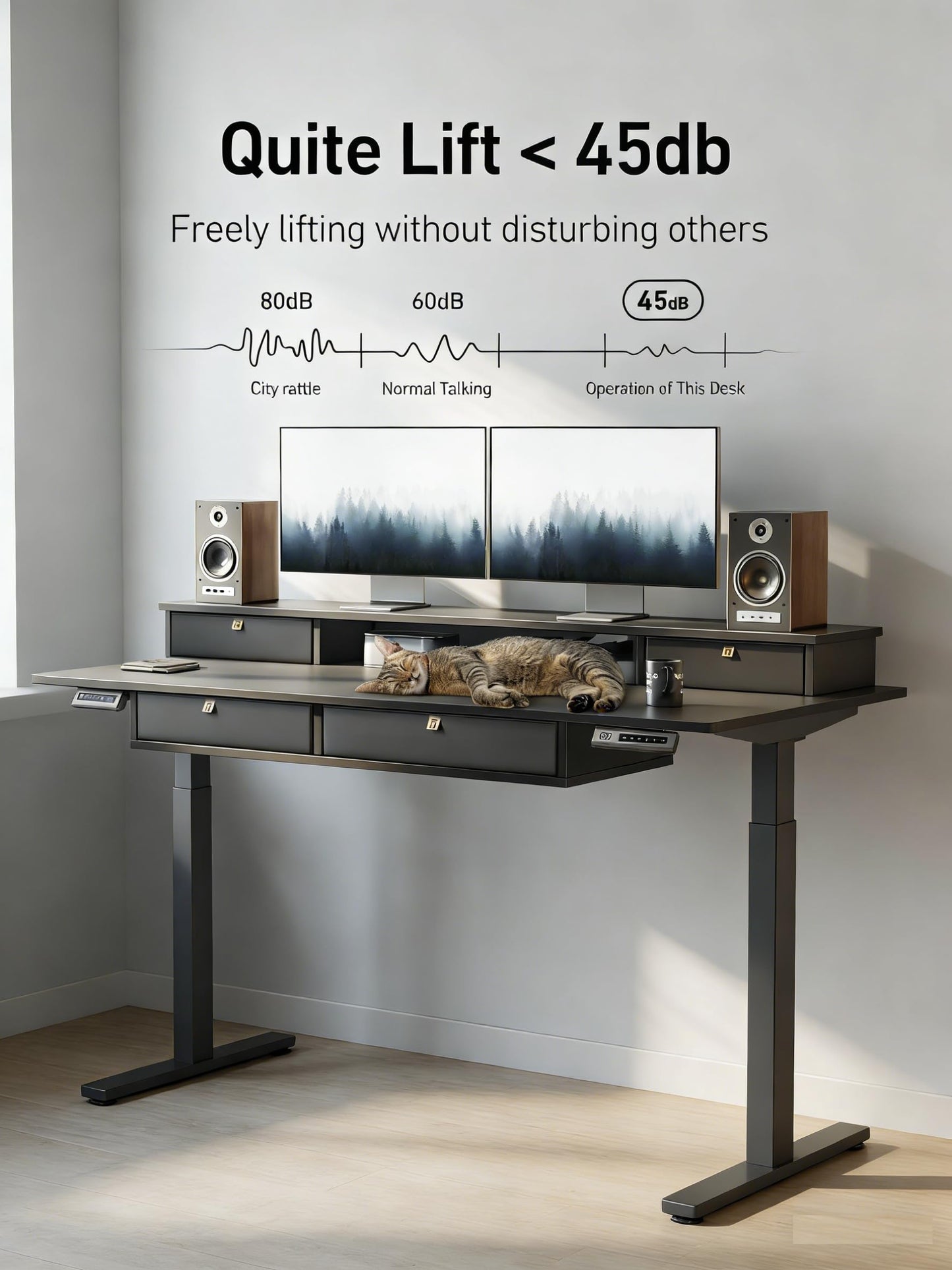CubiCubi 60" x 30" Standing Desk with Drawers, Height Adjustable Electric Workstation, Computer Sit Stand Up Table with Large Storage Shelf 4 Drawers and 2 Hooks, Black