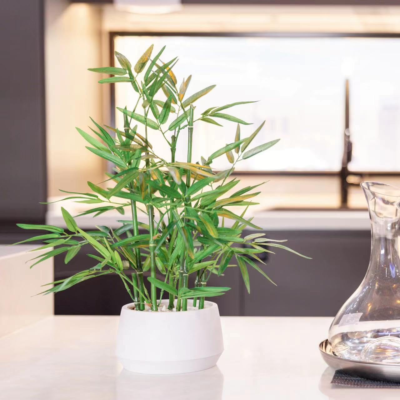 365 Blooming Decor 18 inch Tall White Potted Artificial Bamboo Plant- Luxury Artificial Bamboo Tree in White Pot for Home, Office, Kitchen, Counter Top, Indoor Decor, Money Tree, Lucky Tree.