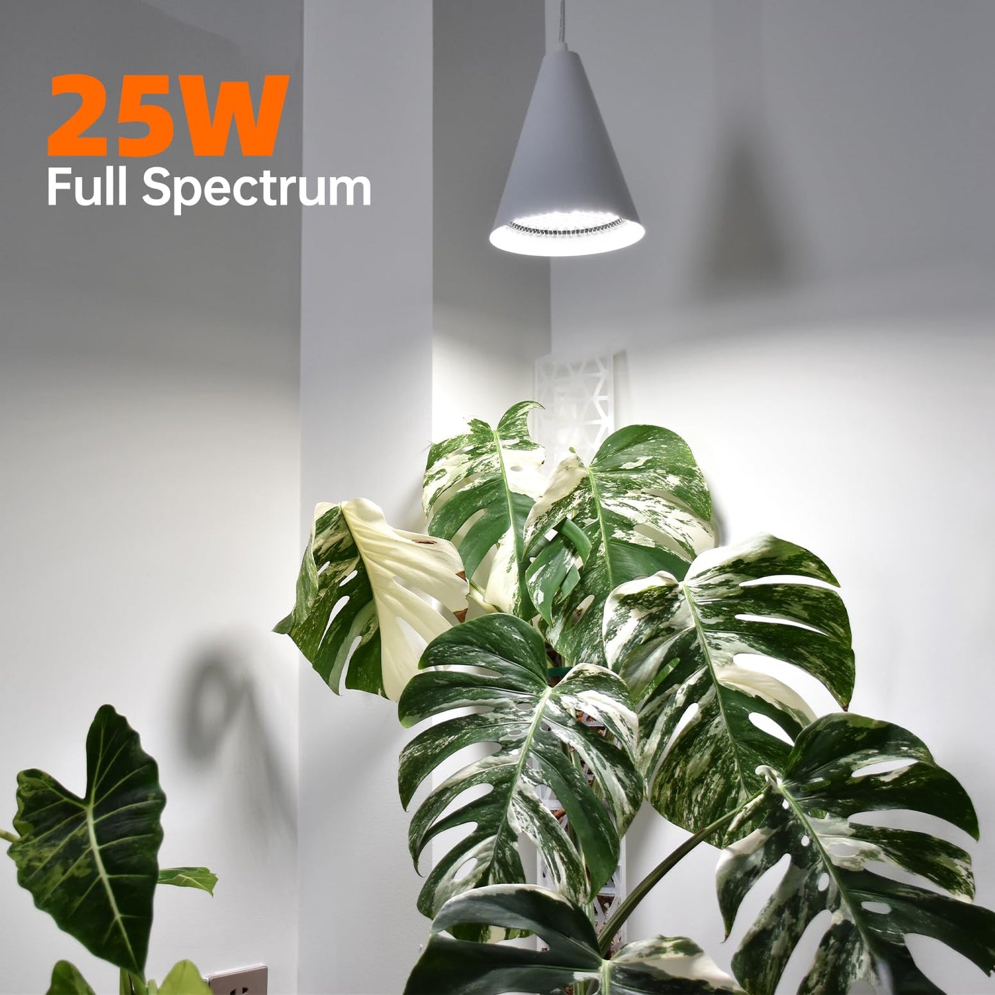 Bstrip Hanging Grow Lights for Indoor Plants-25W Full Spectrum 5000K Plant Light with 4H/9H/14H Timer& 16.4FT Power Cord for Indoor Growing, Ideal for Large Tall Plant, Garden and Flowers Greenhouse