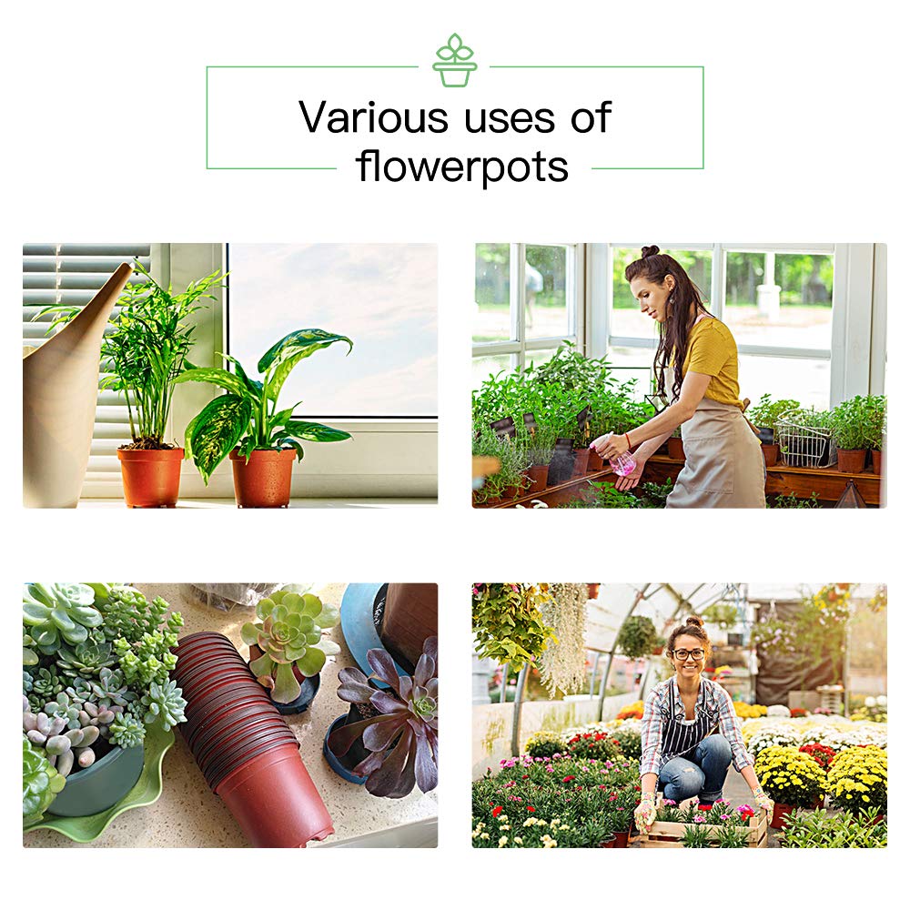 JERIA 100-Pack 6 Inch Plastic Nursery Pots Come with 100 Pcs Labels, Seedling Flower Plant Container and Seed Starting Pots