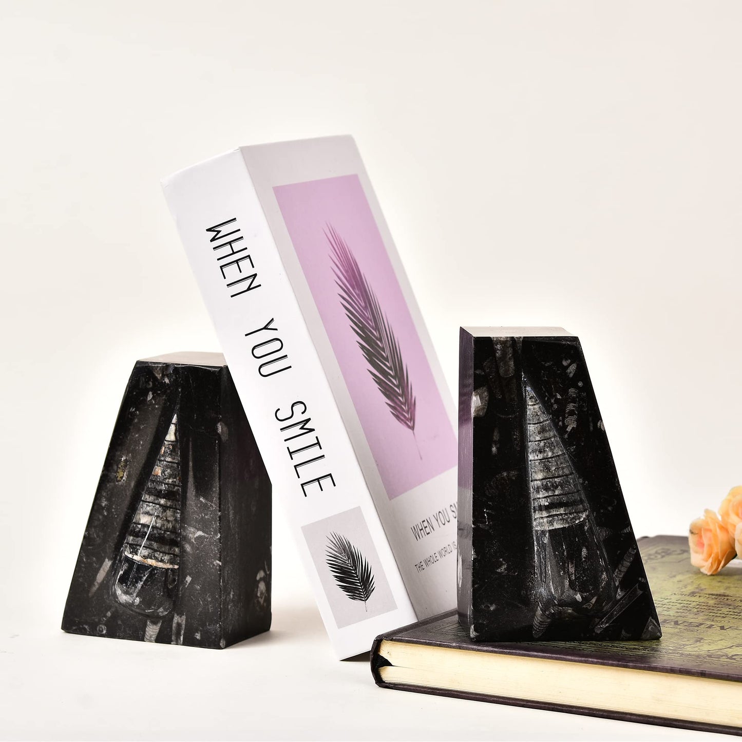 JIC Gem Natural Orthoceras Fossil Bookends-Black Fossilized Wedge Shaped Bookends with Rubber Bumpers for Office and Home Decoration Frome Morocco （1 Pair 4-5lbs ）