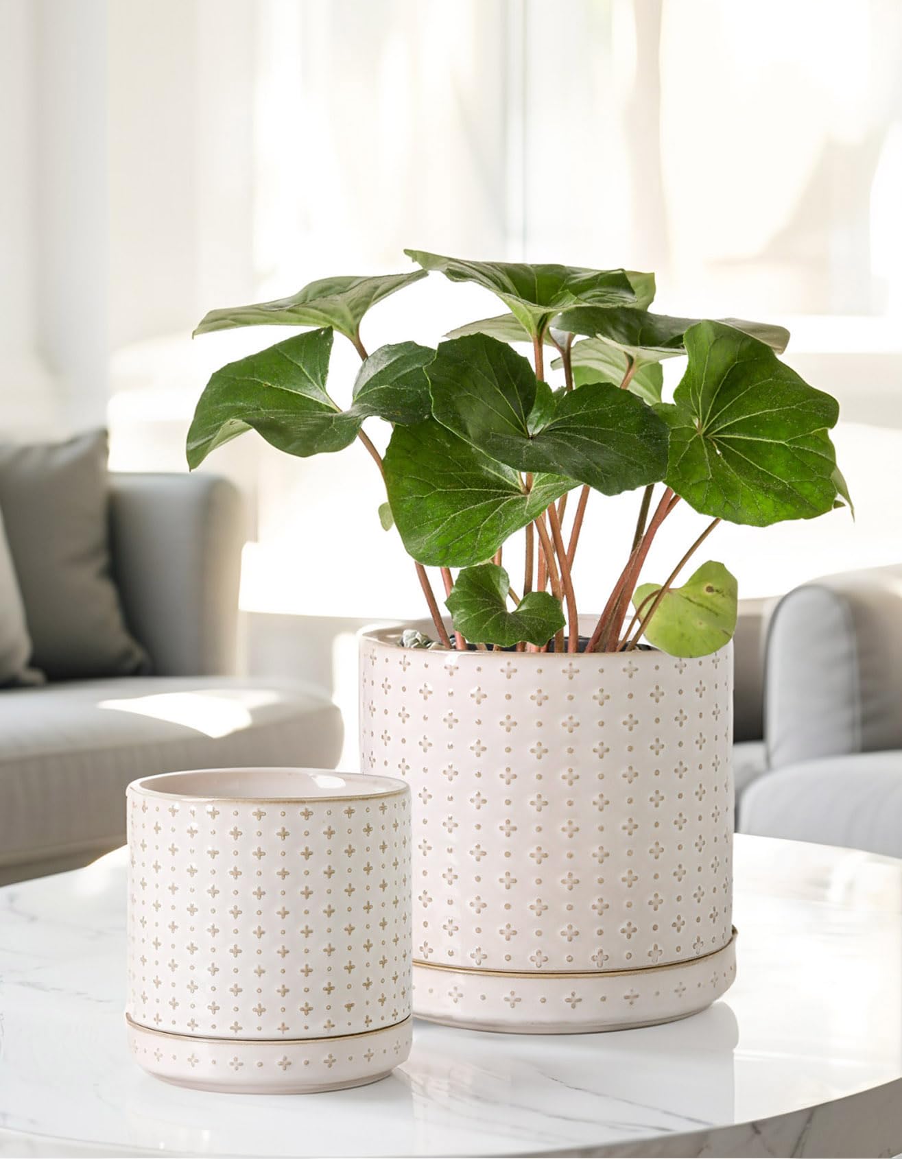 Plant Pots, 5+6 inch Planters Set of 2, Ceramic Pot for Indoor Plants with Drainage Hole and Saucer, Small Flower Pot for Succulent, White