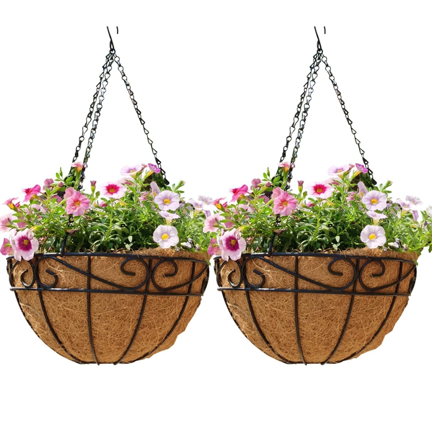 EIMQUVW Outdoor Metal Hanging Planters Basket (2pack, 12 inch) Hanging Baskets for Plants Chain Round Wire Plant Holder with Coco Fiber Liners for Garden, Patio, Deck, Porch(Flower Border)