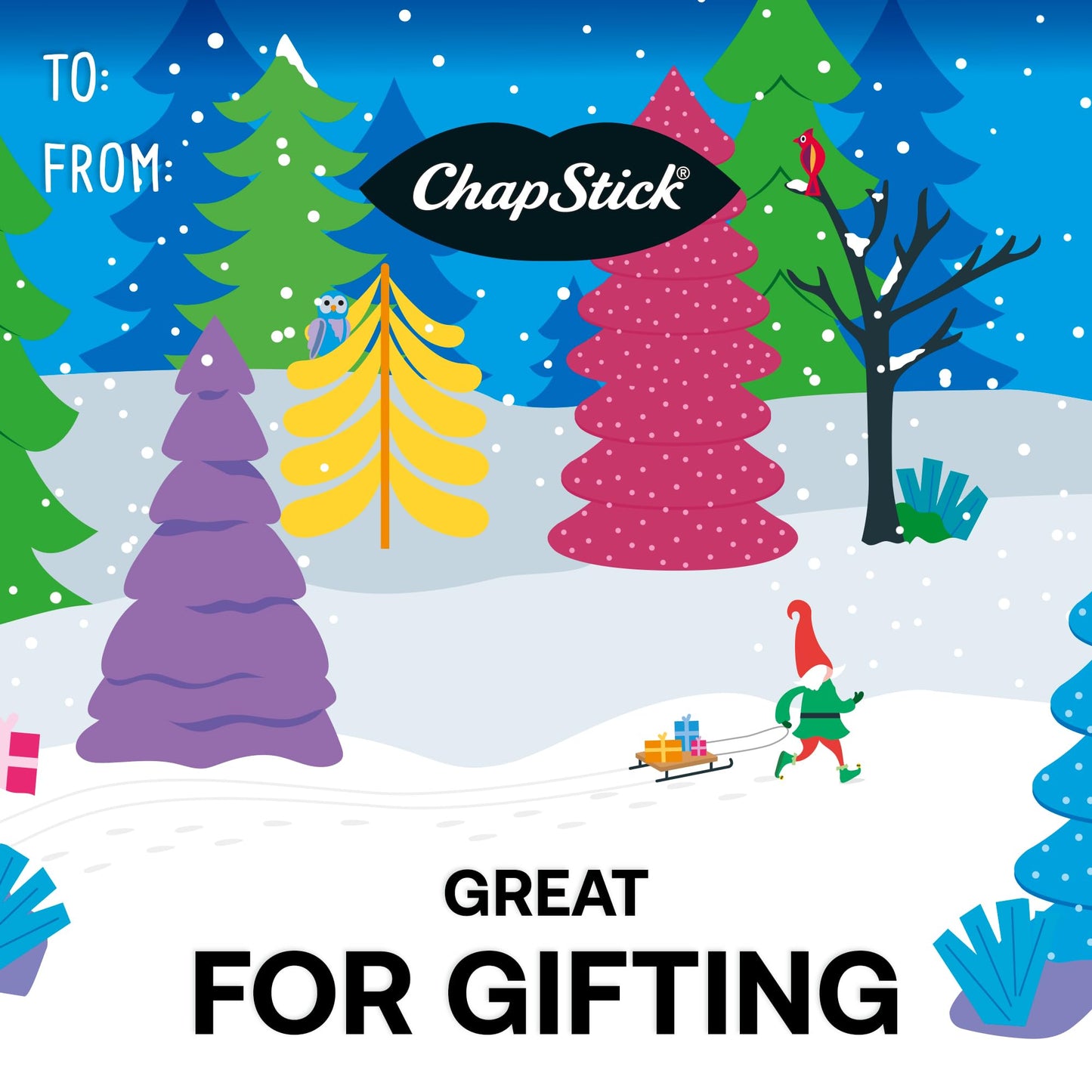 ChapStick Lip BalmVariety Holiday Gift Set, Stocking Stuffers, Christmas Gift 5 Count