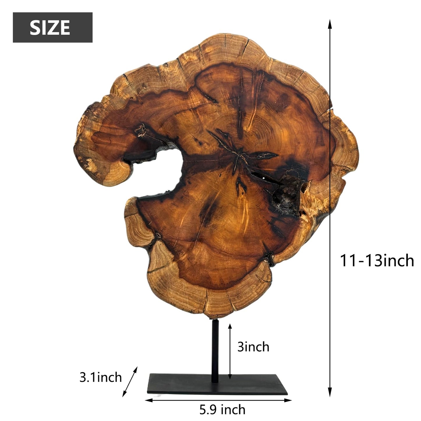 DONZIKLE Natural Live Edge Wood Sculptures Home Decor, Irregular Abstract Jujube Tree Root Wooden Statues for Table Top Decor, Decorative Root Carving Ornament (Medium)