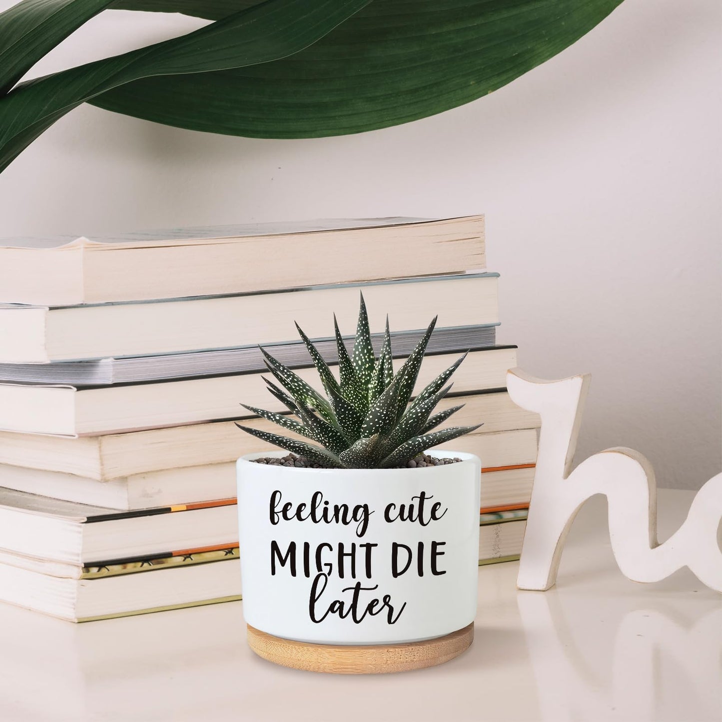 Funny Succulent Plant Pot, Cute 3.5 Inch Small Ceramic Cactus Plant Pot with Drainage, Home Office Desk Planter Pot for Friends Planter Lovers Birthday Christmas Housewarming Gifts (No Plants)