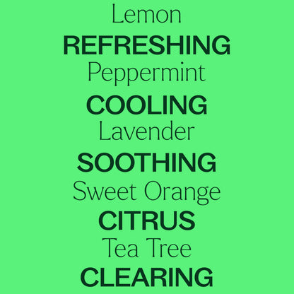 Plant Therapy Top 14 Singles Set Lavender, Eucalyptus, Peppermint, Orange Sweet, Lemon & More 100% Pure, Undiluted, Natural Aromatherapy for Topical Use & Diffusion, Therapeutic Grade 10 mL (1/3 oz)