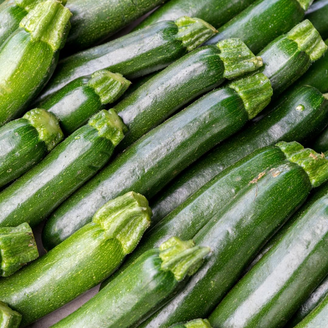 2 Green Squash Zucchini Plant Live, Squash Zucchini Plant, Vegetable Seedling, 3-5 Inches Tall for Outdoor Growing
