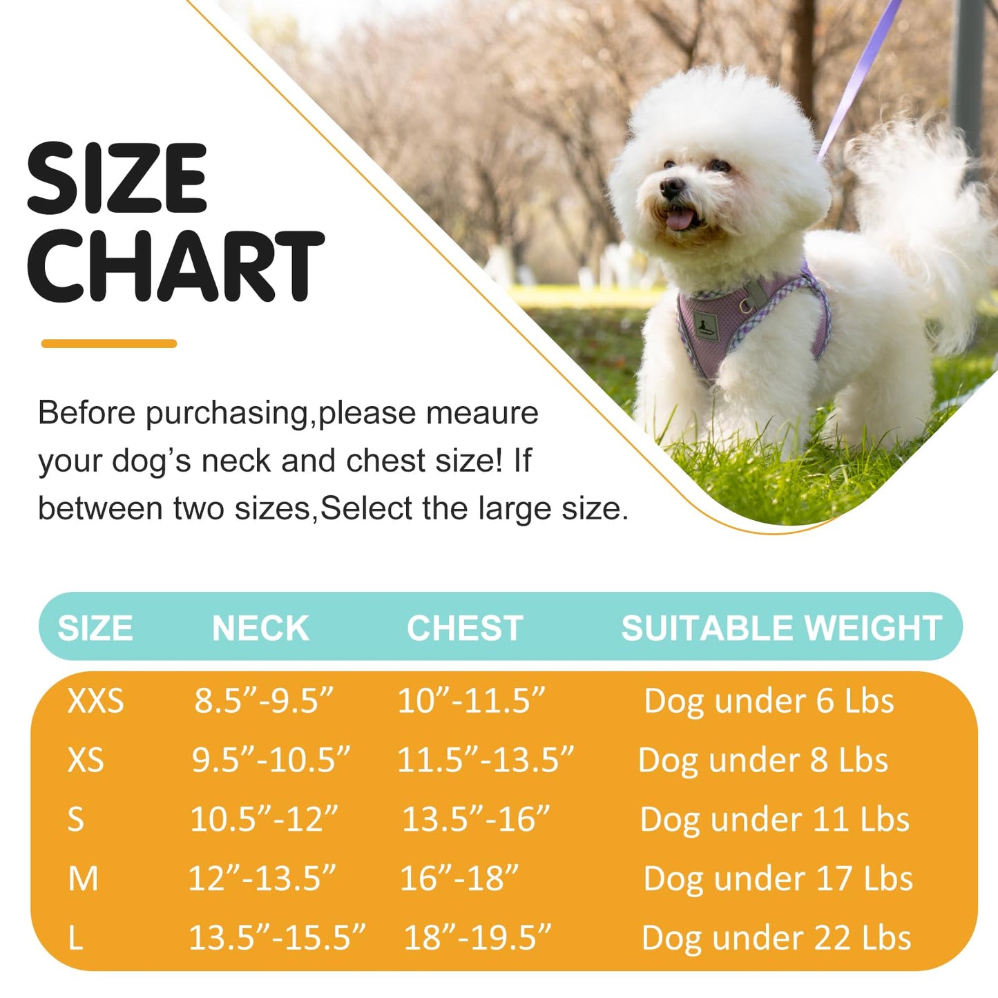 TomteNisse Dog Harness & Leash Set - No Pull Soft Breathable Small Dog Harness, Adjustable Reflective Step-in Vest for Puppy, Kitten, Cats