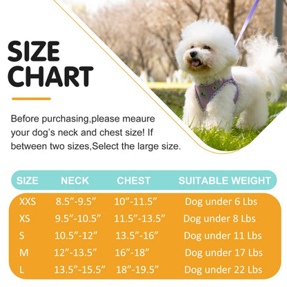 TomteNisse Dog Harness & Leash Set - No Pull Soft Breathable Small Dog Harness, Adjustable Reflective Step-in Vest for Puppy, Kitten, Cats