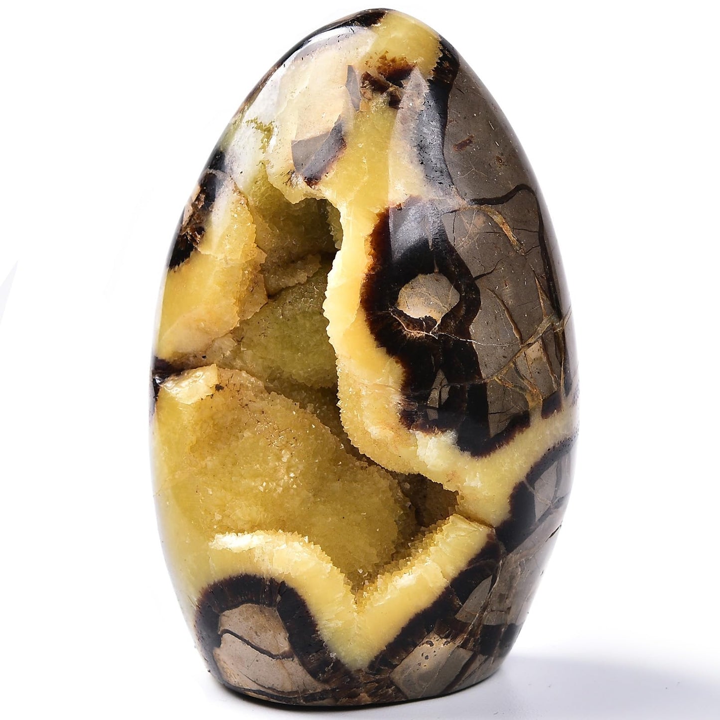 MOGEMT Septarian Geodes Large Healing Crystal Stones Rock Cluster Septarium Druzy Irregular Home Decoration Specimen 1.5-2 Lbs