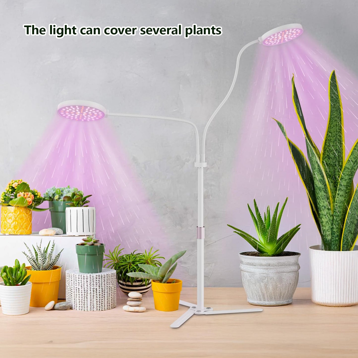 BeModel Super-Energy Tabletop LED Grow Lights 9.8"-32"Height Adjustable for Indoor Small/Medium Plants 6000K Full Spectrum with 3 Dimmable Model, Auto On Off Timing 3 9 12Hrs, 5 Brightness(Puck White)