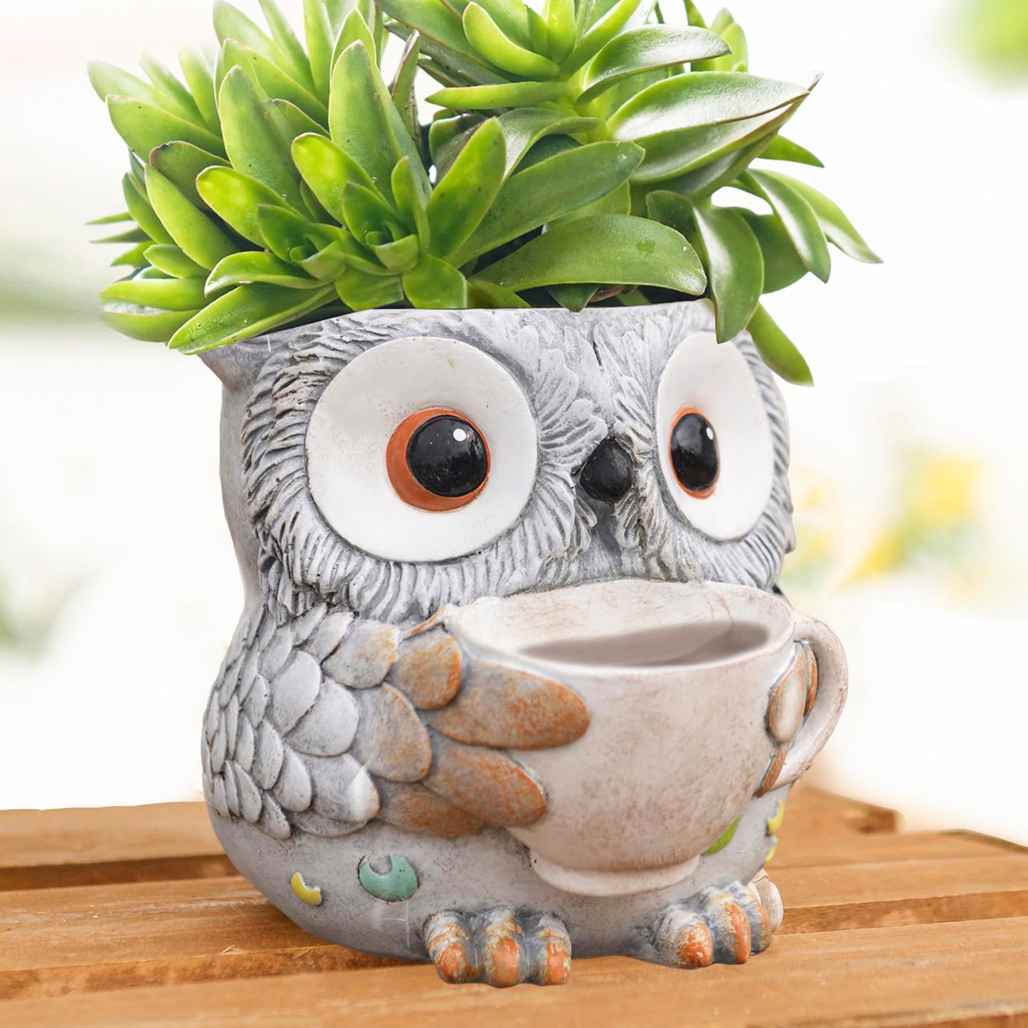 Saysmile Unique Owl Plant Pots Indoor, Cute Small Succulent Pots with Drainage Hole, Watering Owl Planters for Indoor Outdoor Plants, Resin Flower Pot for String of Pearls, Gift Ideas for Mother