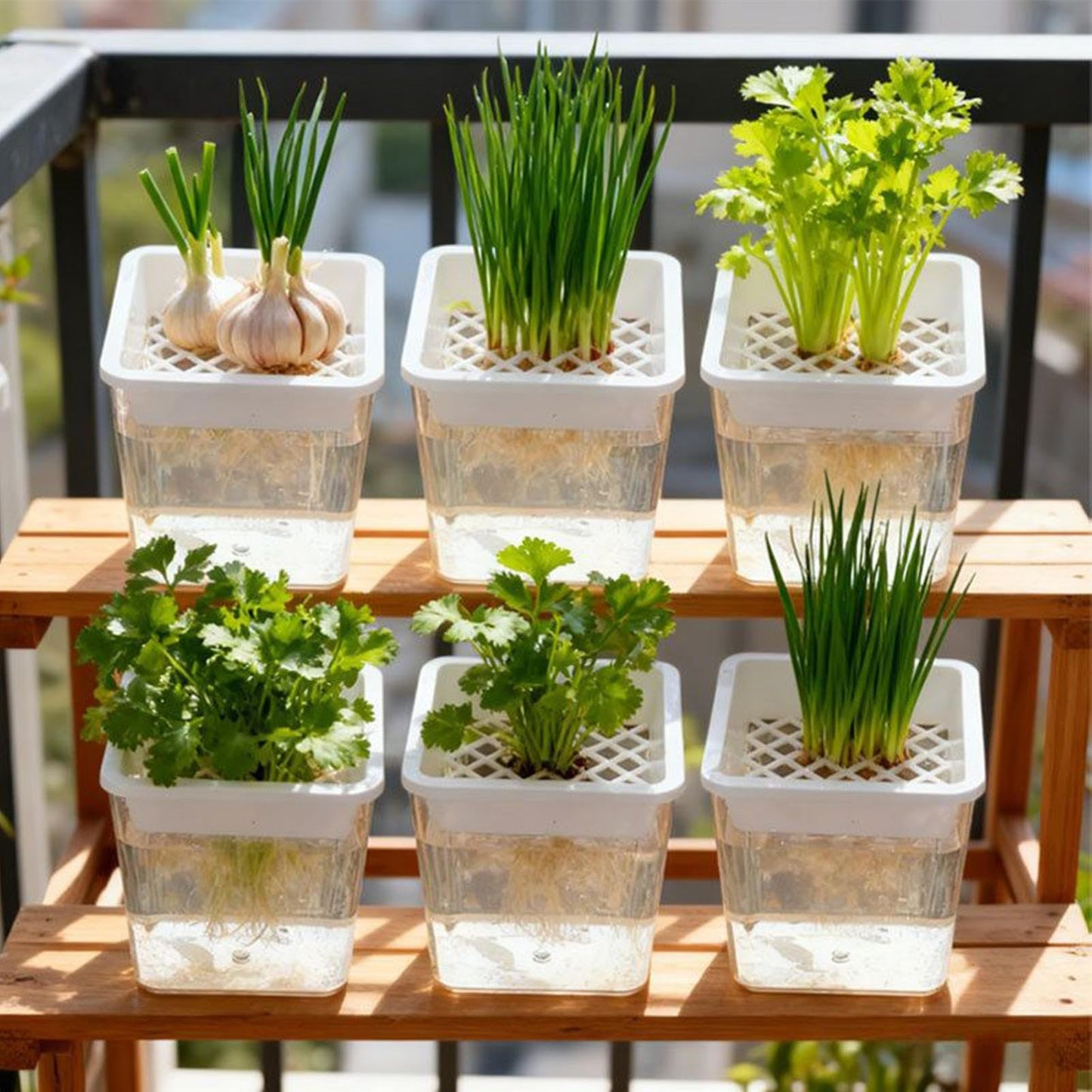 Plant Pot - Transparent Plant Containers - Hydroponic Containers - for Semi-Hydro Cuttings Seedlings African Violets Balcony Desk Garden Porch Windowsill Bedroom Living Room Yard