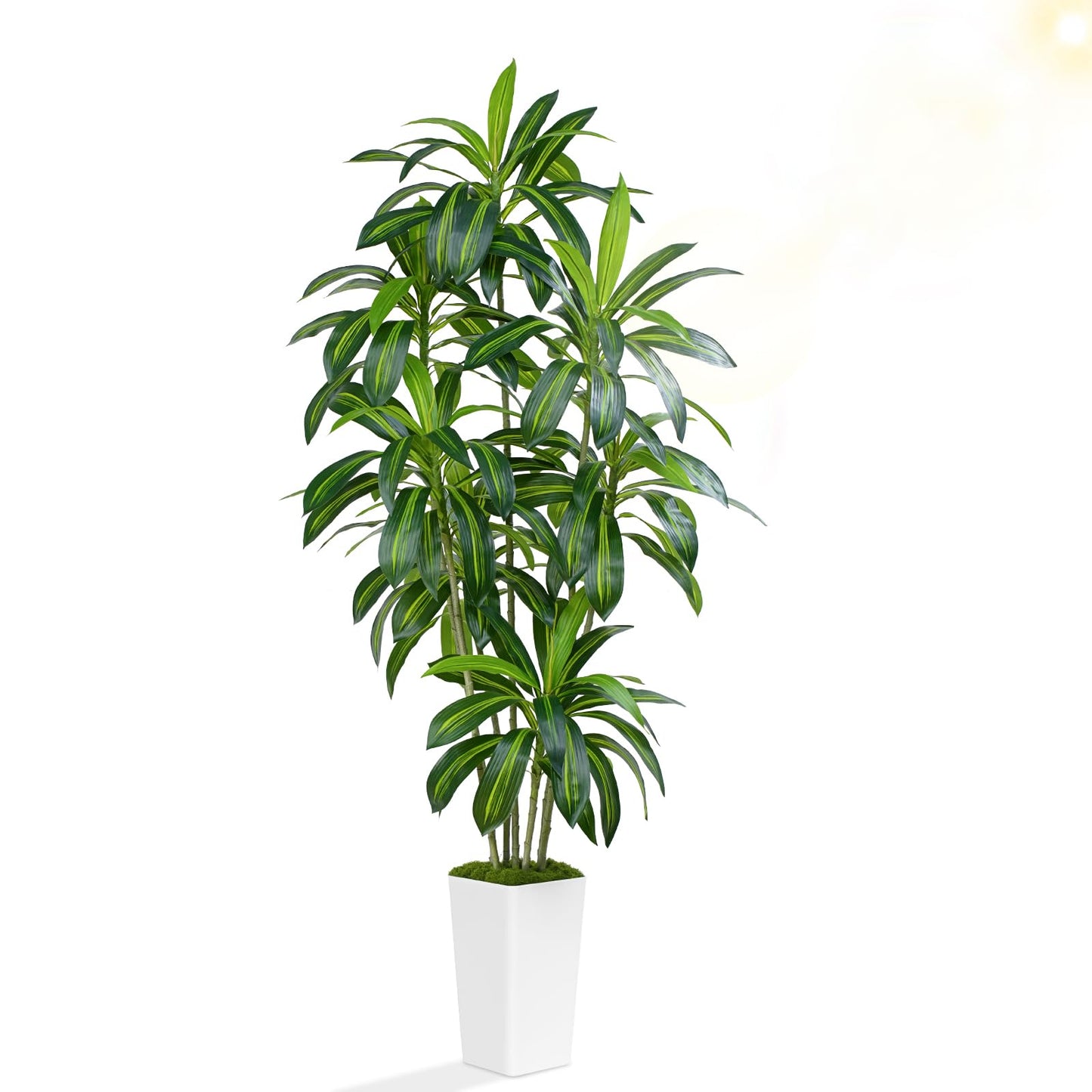 ZEEOZE Dracaena Plant Artificial Tree 7Ft Tall Fake Tropical Floor Plants Potted (Real Touch) Artificial Silk Tree Leaf Faux Trees White Tall Planter for Home Office Living Room Indoor Outdoor Decor
