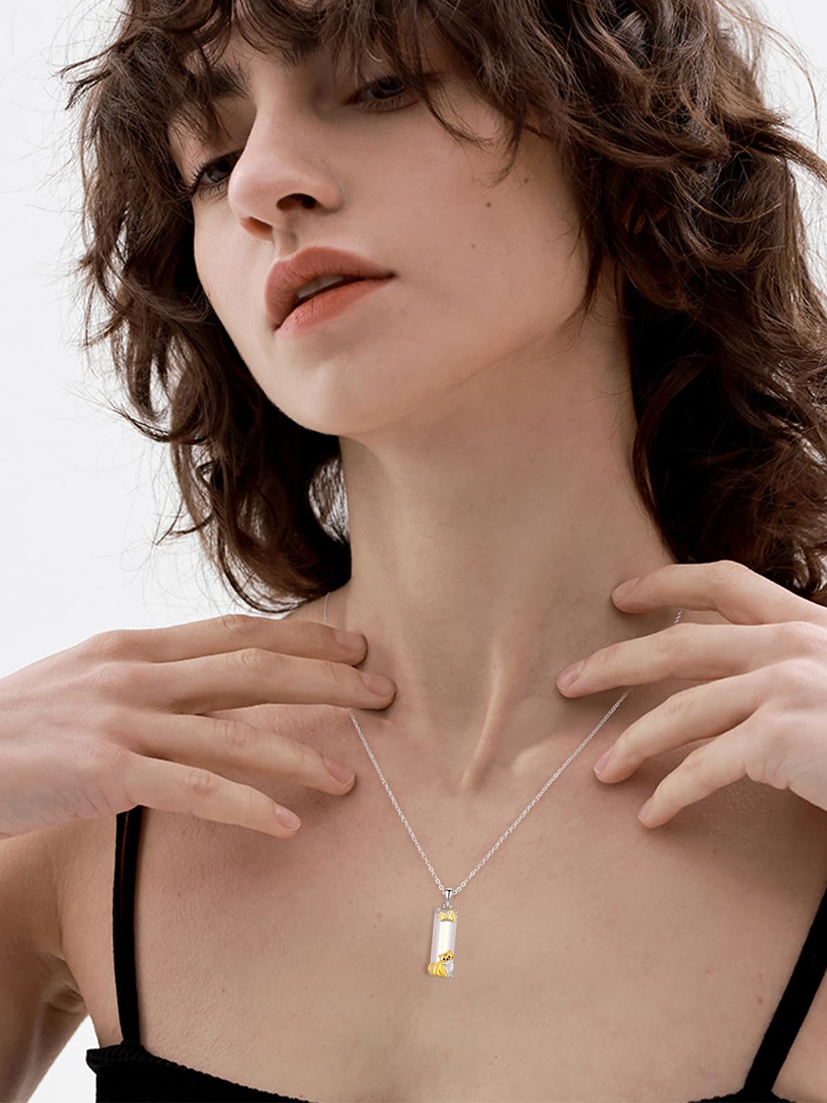 AENEAS Cat Necklace 925 Sterling Silver Crystal Animal Pendant Cute Paw Graduation Jewelry Gifts for Friend Daughter Her Wife Women