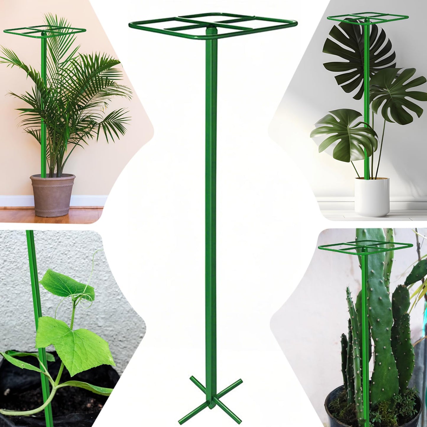 Zealor 2 Pack Adjustable Dragon Fruit Trellis, 12"x12"x50" Dragon Fruit Trellis Metal Climbing Plant Support Frame Cactus Tower Plant Cage for Vertical Gardening Vegetable Garden Outdoor, Green