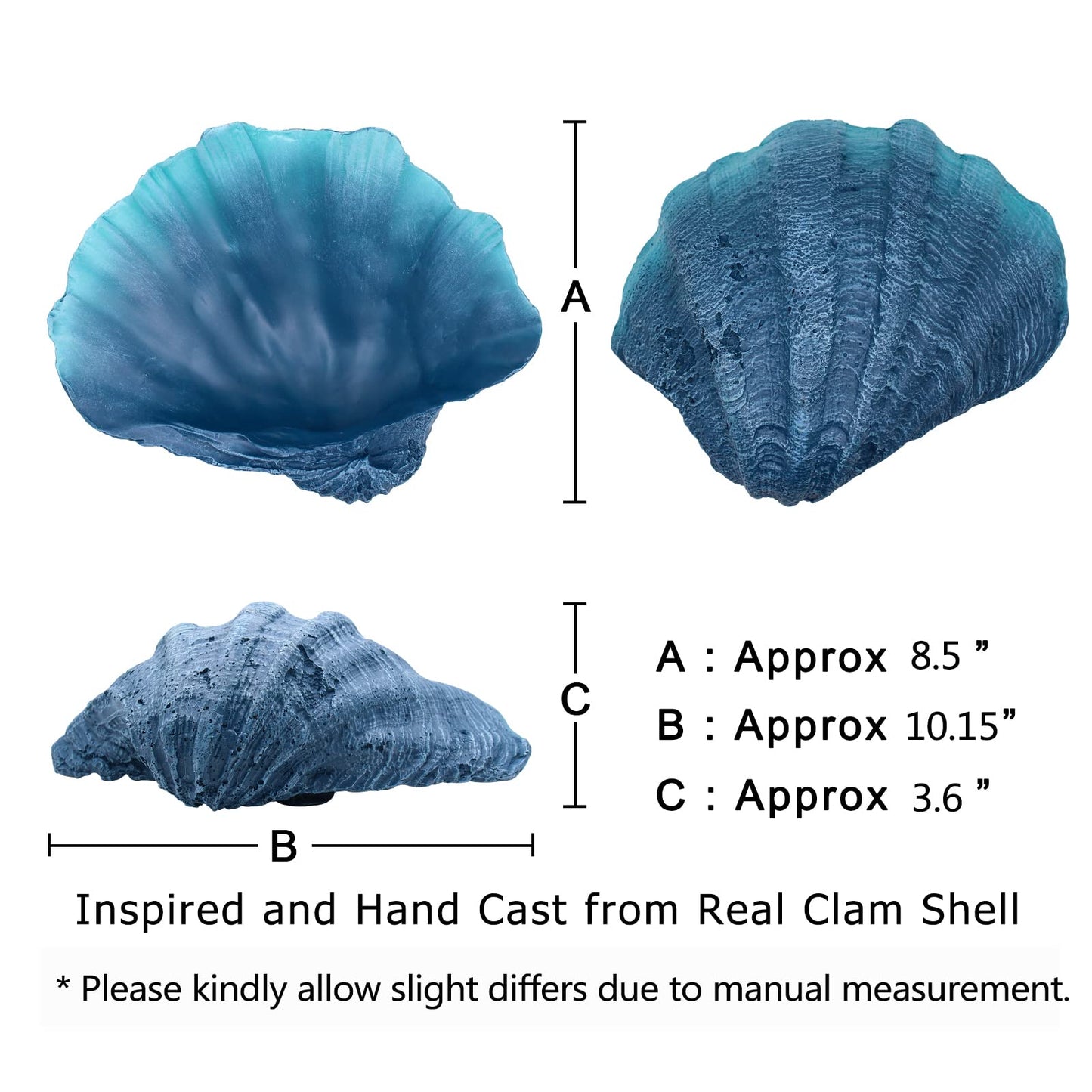 ALIWINER Medium Blue Scalloped Clam Shell Bowl Sea Shell Decor for Nautical Beach House,Coastal Decor Gift of Housewarming and Wedding Party