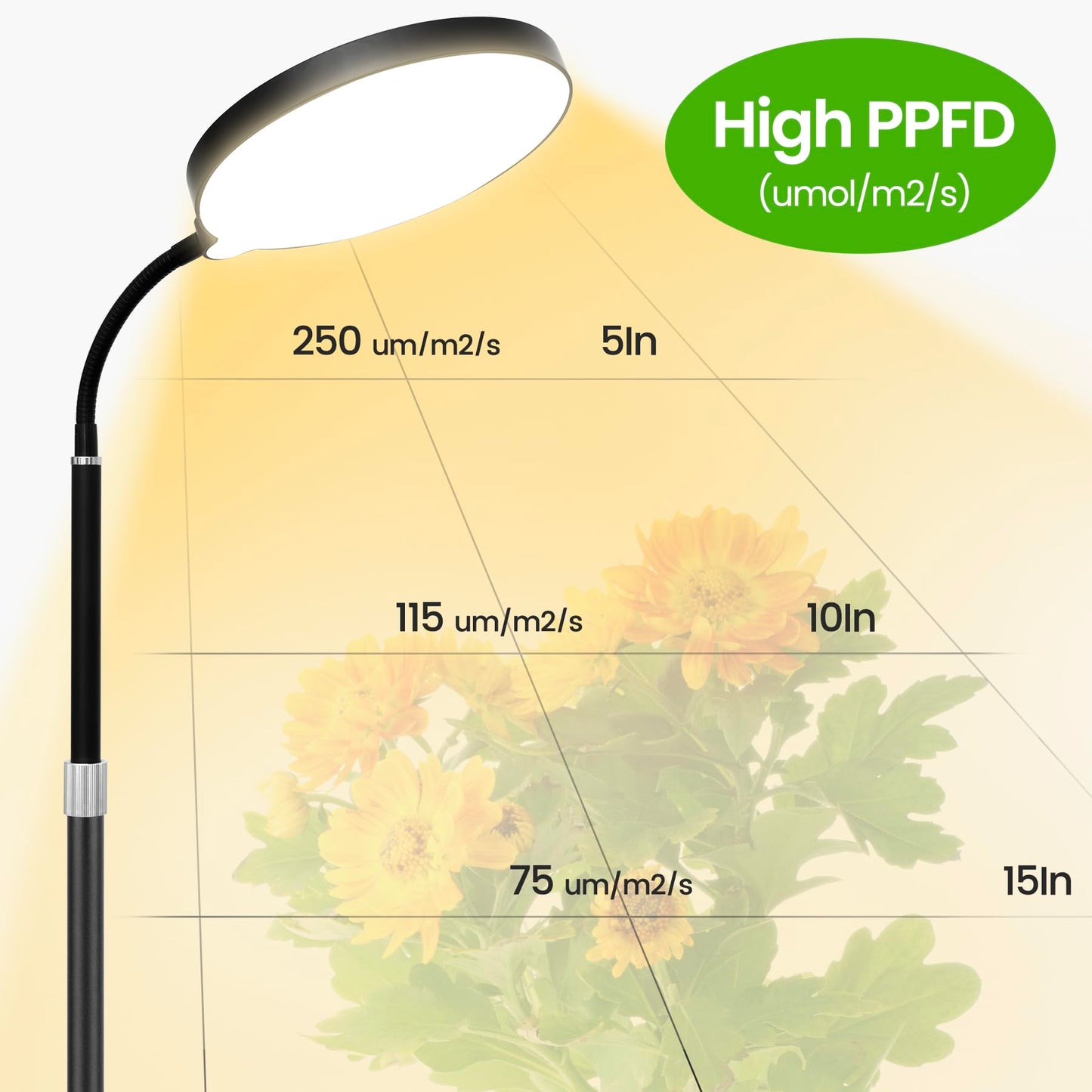 MistyJungle 20W Full Spectrum Grow Light for Indoor Plants, 63in Adjustable Floor Lamp with Gooseneck, 4000K Natural Sunlike Light, 3/9/12H Auto On/Off Timer, 10-Level Dimmable for Tall Small Plants