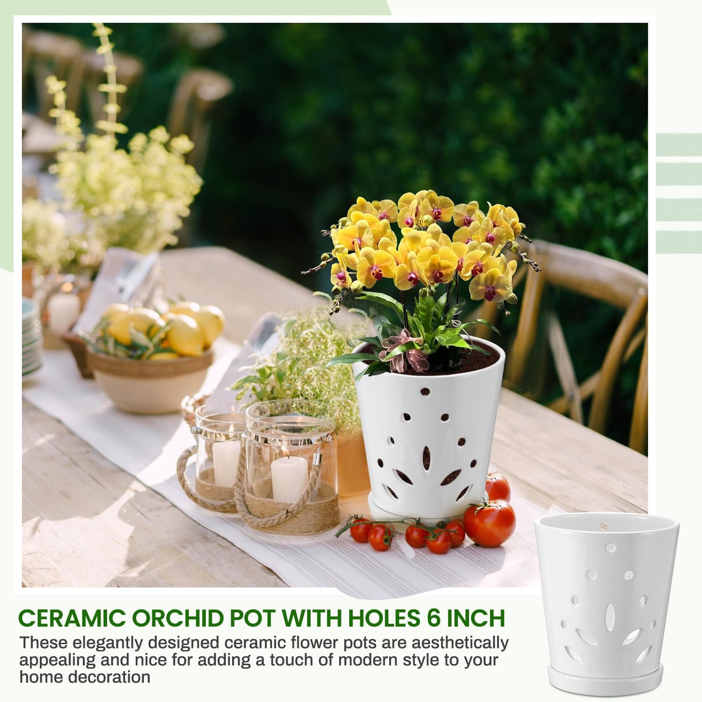 Suclain 2 Pack Orchid Pots with Holes Ceramic Orchid Planters with Drainage Holes and Tray for Root Health Repotting New Plants Air Circulation Indoor/Outdoor Flower Pots(6.5 Inch,White)
