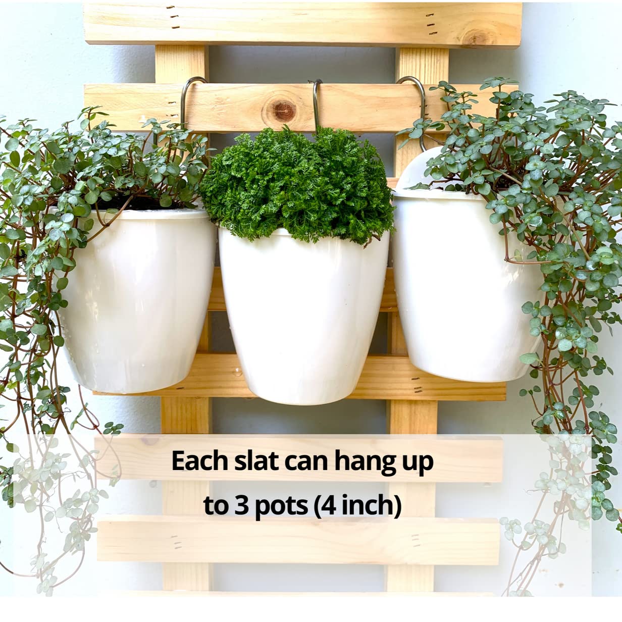 ShopLaLa Wooden Wall Planter - 2 Pack Wall Hanging Planters for Indoor Plants Ladder Wall Mount Natural Wood Holder Flower Pots Vertical Living Balcony Unique Large Green Plant Decor 23.6" (60cm)