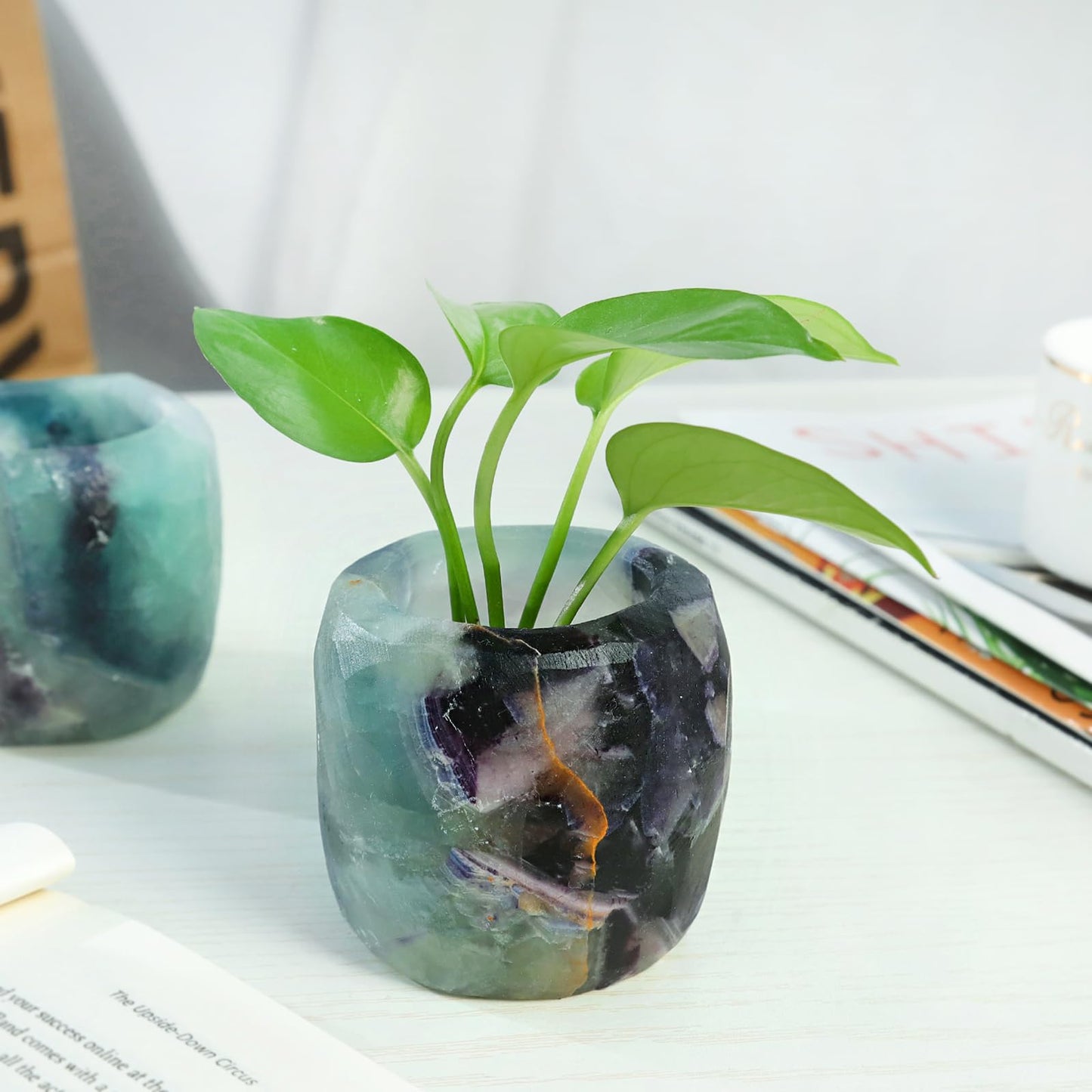 mookaitedecor Natural Fluorite Crystal Tea Light Candle Holder/Air Plant Holder Home Decor